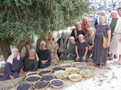 A TourMagination Christian tour group in Israel/Palestine helped harvest olives at the living history museum Nazareth Village.